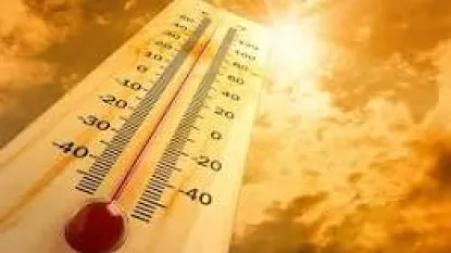 Caldo