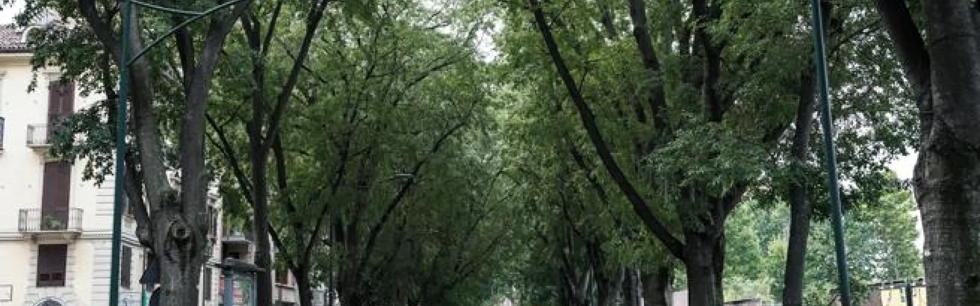 Alberi