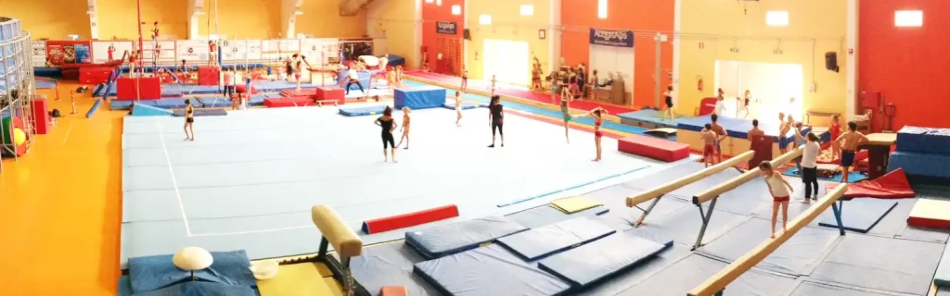 Palestra
