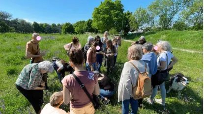 gruppo di persone su un prato