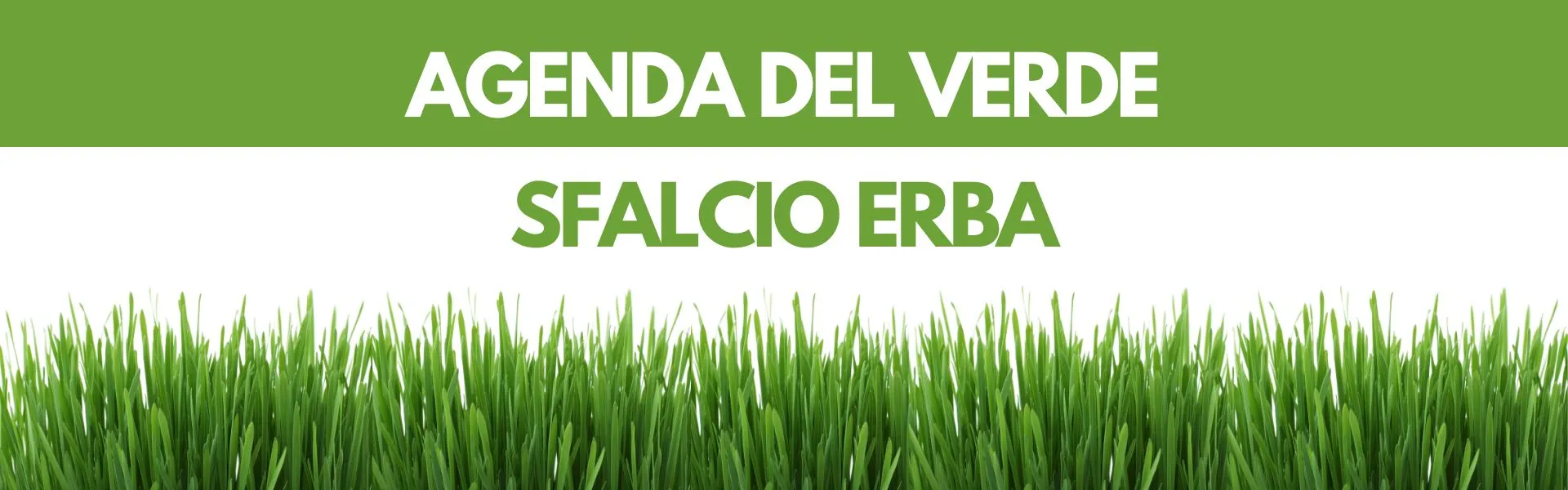Banner con erba sul fondo e la scritta "Agenda del verde - Sfalcio Erba"