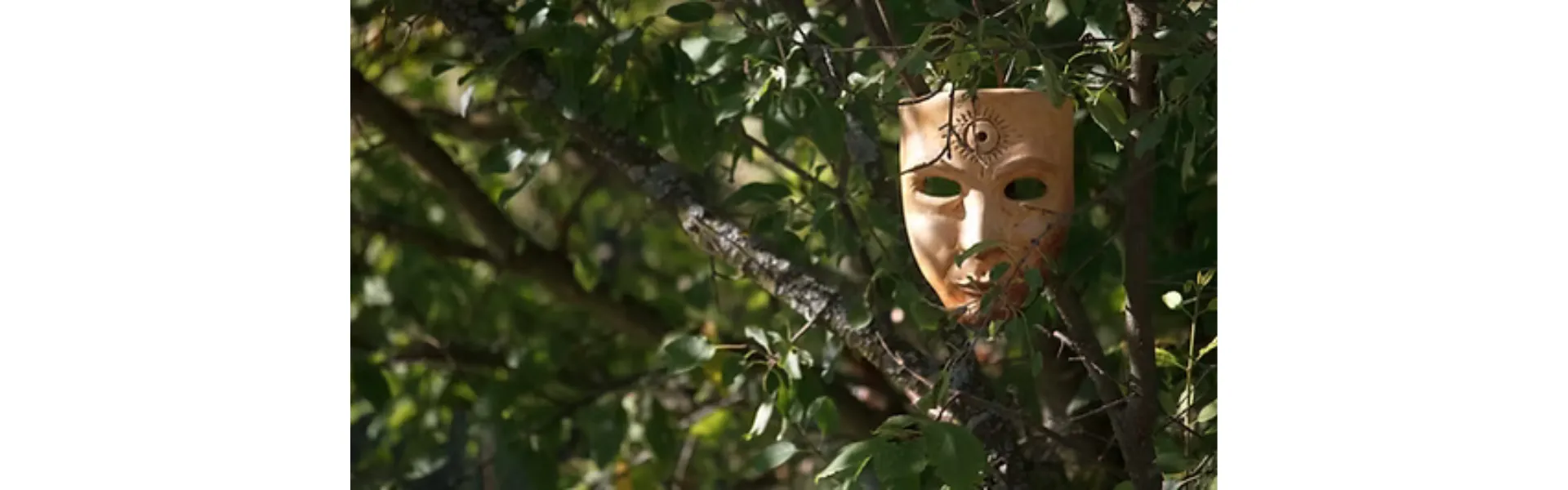primo piano della chioma di un albero da cui si scorge una maschera