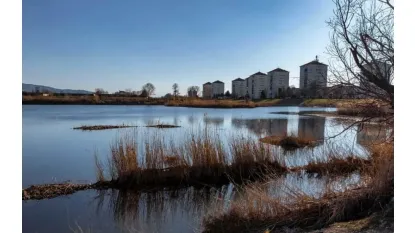 Parco Laghetti Falchera