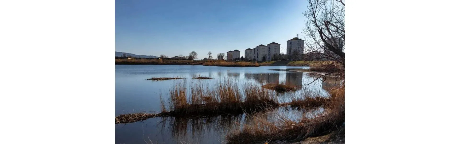 Parco Laghetti Falchera