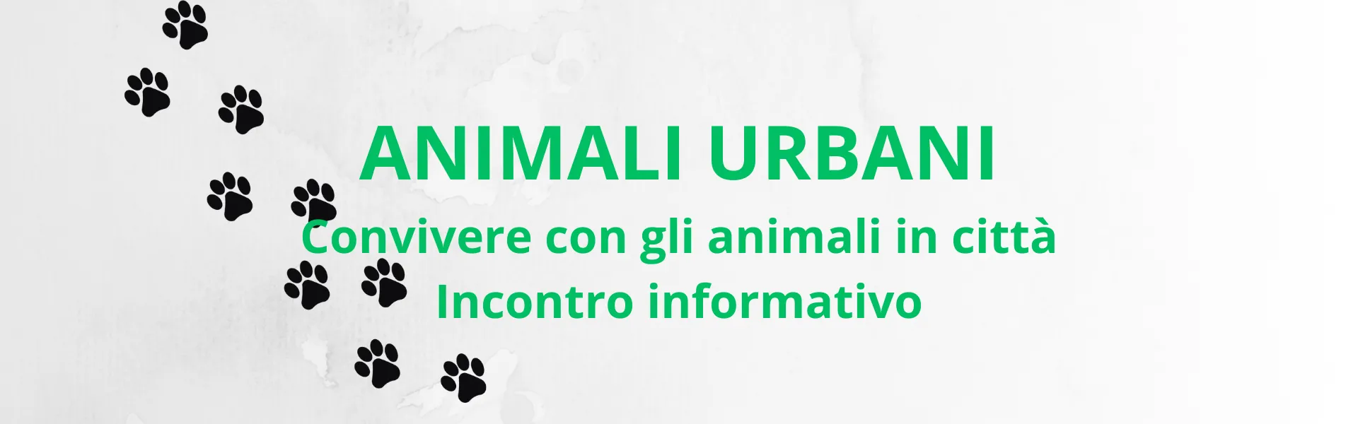 Animali Urbani