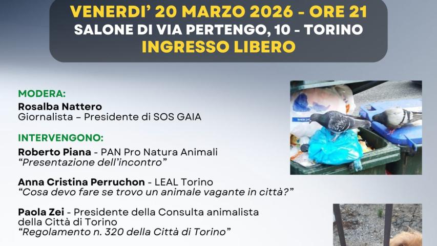 Animali Urbani