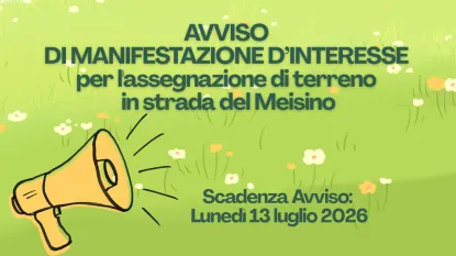 Avviso Meisino
