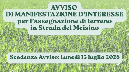 Avviso Manifestazione Interesse Strada del Meisino