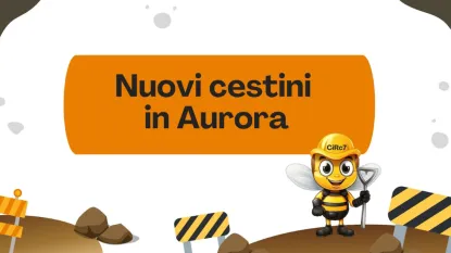 Nuovi cestini