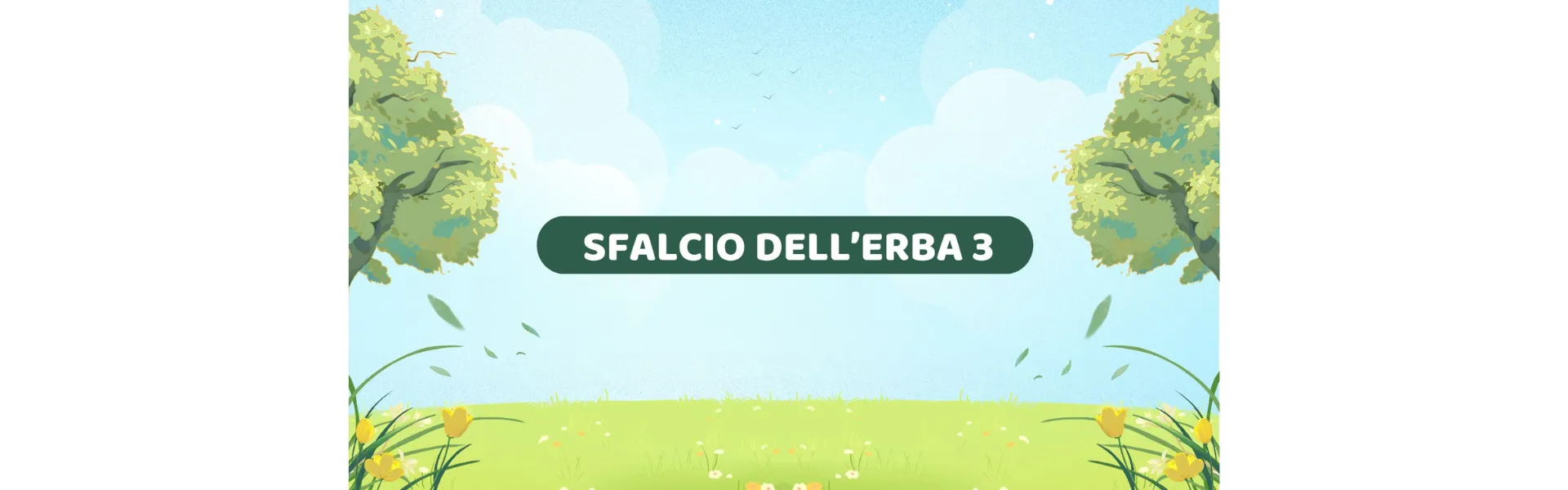 Sfalcio erba 3