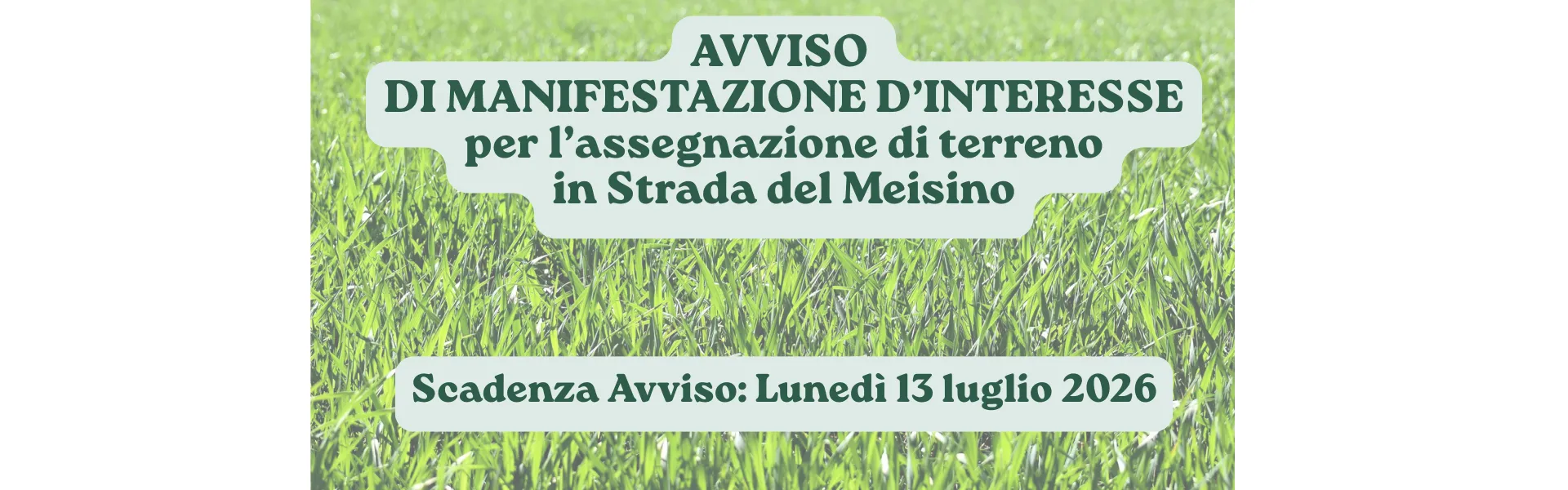 Avviso Manifestazione Interesse Strada del Meisino