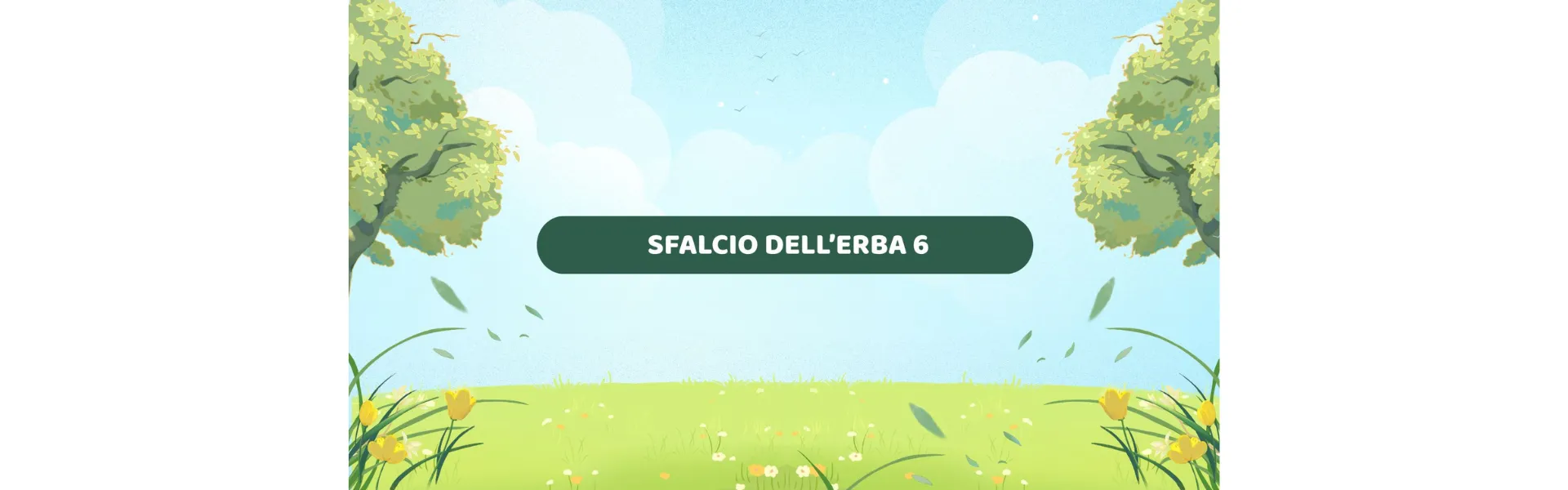 Sfalcio dell'erba 6