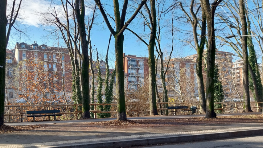 Foto 2 - staccionata