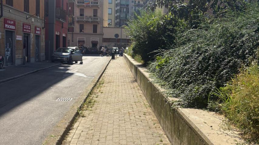 Foto 6