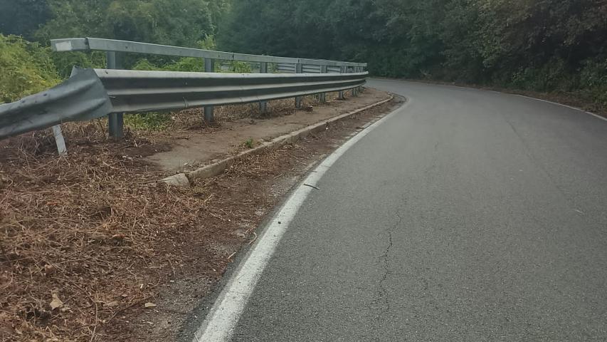 collina3