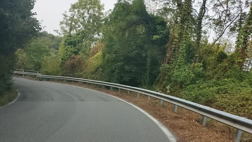 collina2