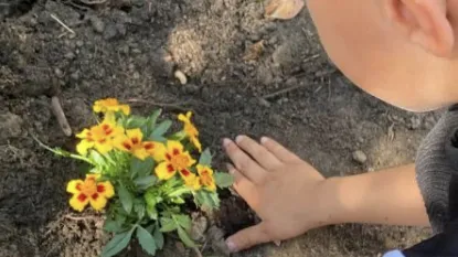 Scuola dell'infanzia “Europea”