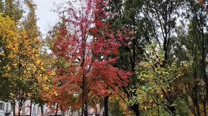 Parco Michelotti