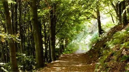 Parco Leopardi