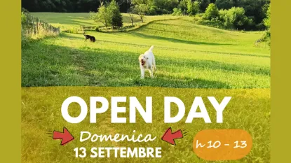 Me Dog open day