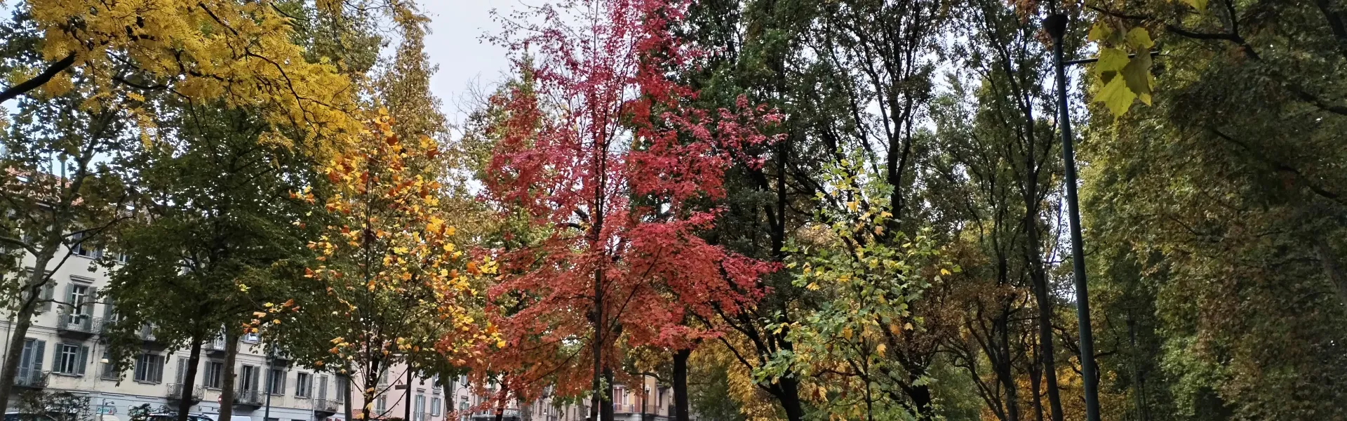 Parco Michelotti